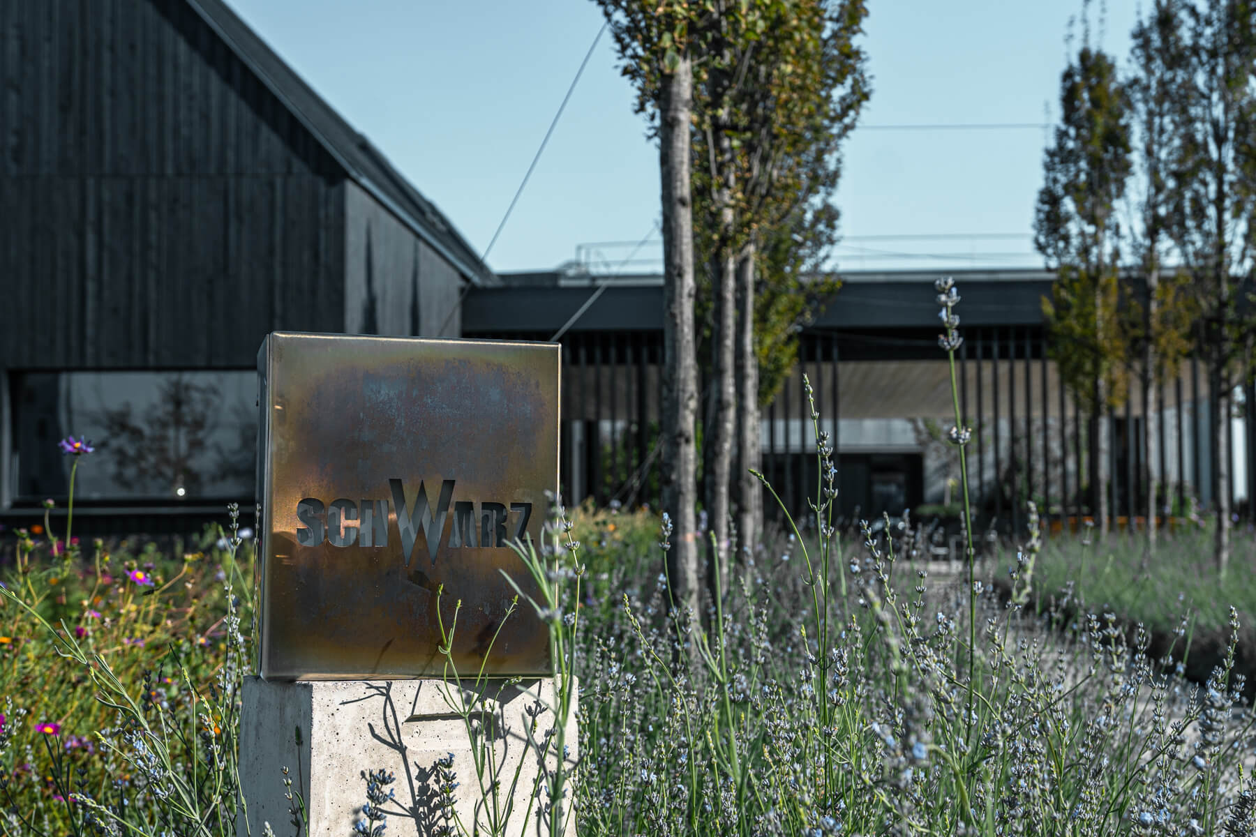 Weingut Schwarz Weingut Schwarz