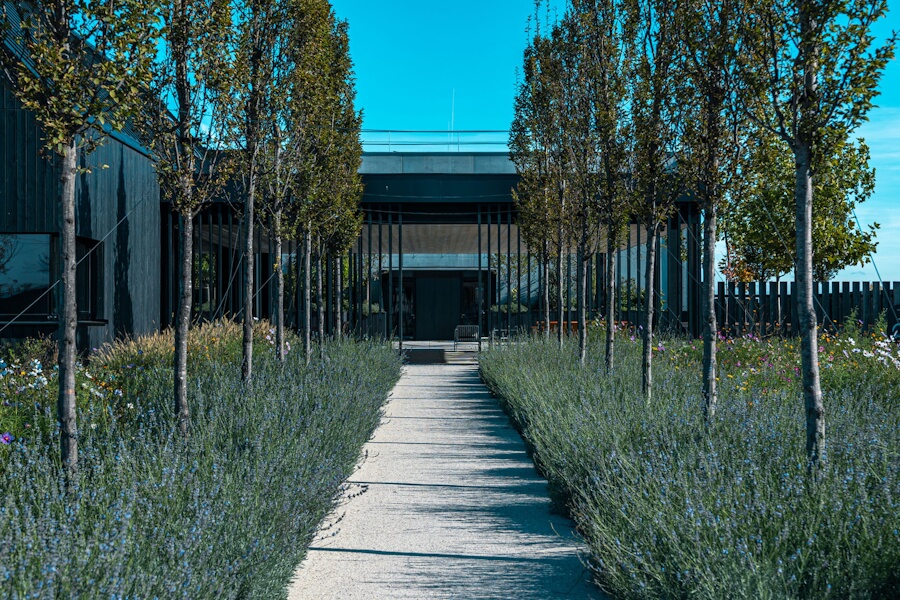 Weingut Schwarz Eingang Weingut Schwarz Eingang